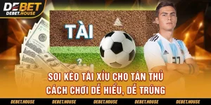 Soi kèo tài xỉu cho tân thủ dễ hiểu dễ trúng tại DEBET